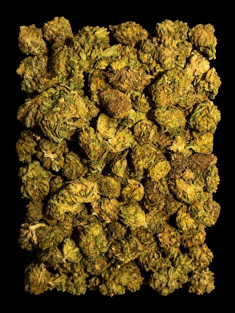 BUBBA KUSH